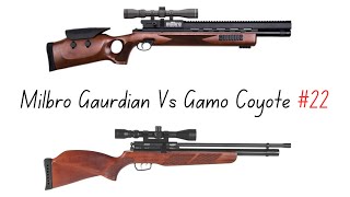 Milbro Gaurdian Vs Gamo Coyote [upl. by Nuawtna]