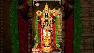 Venkateswara Swamy Songs  Sri Venkateswara Stotram  YTShorts  Lord Balaji Songs  Devotional TV [upl. by Linskey775]