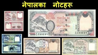 नेपालका नोटहरू  Note Denominations of Nepal  Nepalese Rupees  Currency [upl. by Akinar]