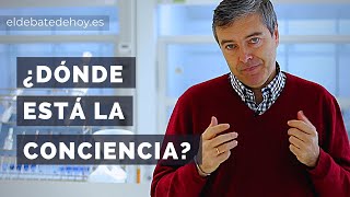 Â¿DÃ³nde esta la conciencia [upl. by Stark]