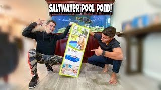 I GOT A SALTWATER POOL POND For My FISH [upl. by Ettezus]