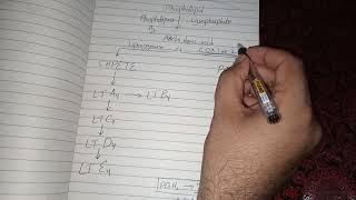 Arachidonic Acid Metabolism and Function [upl. by Eesak]