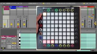 nativeKONTROL Arsenal Control Surface Scripts Novation Launchpad Pro LPP [upl. by Etnud]