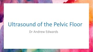 Pelvic Floor Assessment by Ultrasound [upl. by Selena]