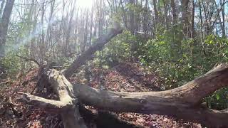 Discover Serenity Edge of the World Trail Walk in Dawsonville GA [upl. by Ayekam]