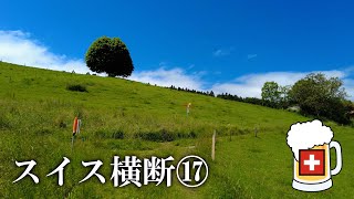 スイス横断１７・涼しい初夏のハイキング・Münsingen → Rüeggisberg [upl. by Mllly]