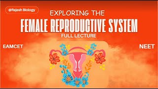 Female Reproductive System Introduction Human Physiology 2ndYear ZoologyCET NEET Rajesh Biology [upl. by Jerrol]