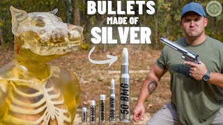 WEREWOLF DEFENSE Pure Silver 50 BMG 500 SampW 12 Gauge amp More [upl. by Danica]