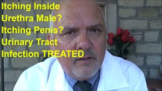 Itching inside Urethra Male Itching Penis Urinary Tract Infection Treated [upl. by Fesoy466]