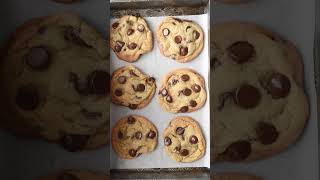 The Best Chocolate Chip Cookie Recipe Ever [upl. by Tybi960]