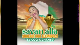 SAVAN ALLA SOUTIEN AUX ELEPHANTS [upl. by Annazus]