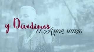 Nio Garcia  Dividimos Bachata Version Lyric Video [upl. by Remark]