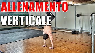 Circuito di allenamento per la VERTICALE [upl. by Kenleigh840]