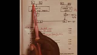 Haber processContact process Flow Chart Form 3 Chemistry [upl. by Allegna143]