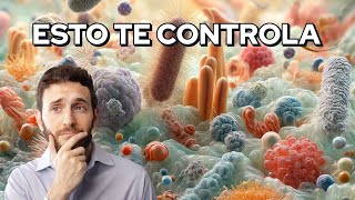 Cómo las Bacterias Controlan Tu Cerebro [upl. by Svensen]