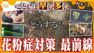 今年は早くて多い！一回発症すると基本的には治らない「花粉症」 今すぐ家庭でできる対策を紹介！そして、花粉“撲滅”に向けた最新の研究を追う【かんさい情報ネットten特集ゲキ追X】 [upl. by Katherina]