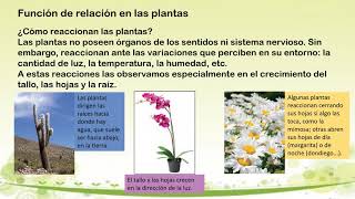 ACTIVIDAD 2 Adaptaciones de plantas y animales [upl. by Rollo65]