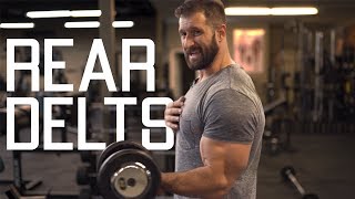 How To Get Bigger Rear Delts  Best Posterior Deltoid Exercises [upl. by Anora324]