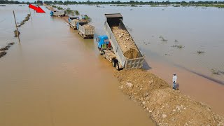 Nice Updating Using Bulldozer and Huge Dump Truck Working Building Road Long Crossing Flood [upl. by Nelrah810]