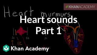 Systolic murmurs diastolic murmurs and extra heart sounds  Part 1  NCLEXRN  Khan Academy [upl. by Flynn]