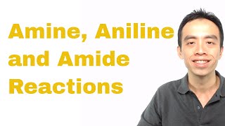 Amine Aniline and Amide Reactions  Organic Chem [upl. by Alletsirhc]