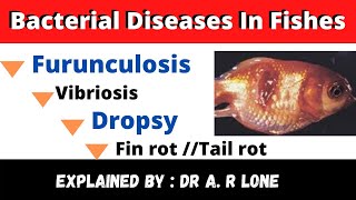 JKSSBBacterial Diseases in FishesFish Diseases amp Their Control [upl. by Aihsela287]