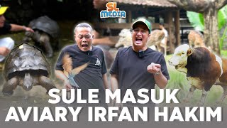 HAPPY NYA IRFAN HAKIM KETIKA SULE MASUK AVIARY [upl. by Hacissej]