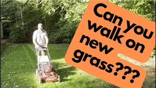 How to mow new grass  Can you walk on it [upl. by Ellertal]