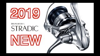 ● 2019 NEW STRADIC FL  SHIMANO  ● [upl. by Estell]