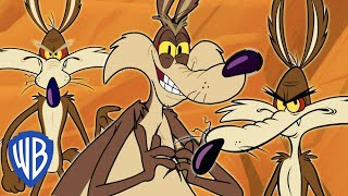 Looney Tunes auf Deutsch  Wile E Coyote das Genie  30 Minuten  WB Kids [upl. by Nedgo]