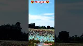 😍 Golaghat is so beautiful😍  travnil vlog golaghat [upl. by Lokkin]