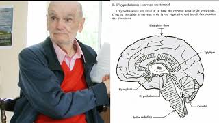 Bâillement hypothalamus cerveaux reptiliens et modernes Désiré Mérien [upl. by Kettie]