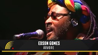 Edson Gomes  Árvore  Ao Vivo Em Salvador [upl. by Pond290]