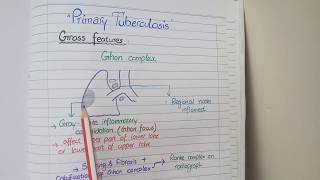 Tuberculosis Pathology  Primary and Secondary TB [upl. by Martica956]