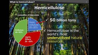 COP29 HEMIX™ bioplastics Hemicellulose Ltd presentation ver3 [upl. by Tatman996]