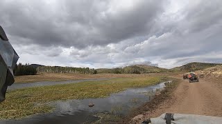 Utahs Big Lake  Pure ATV Woods Riding [upl. by Natsirt]