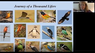 NJC Bird Club – Journey of a Thousand Lifers – Bill Volkert [upl. by Star]