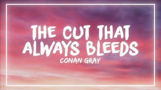 Conan Gray  The Cut That Always Bleeds Lyrics [upl. by Rothschild]