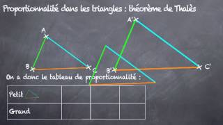 Proportionnalité dans le triangle  Thalès 4eme [upl. by Ayikat]