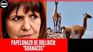 Bullrich se ganó EL REPUDIO DE TODOS con este PAPELONAZO que hizo quotGuanacosquot [upl. by Hulbert991]