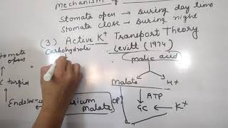 Mechanism of stomatal movement [upl. by Aneek230]