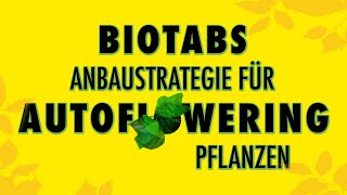 BioTabs anbaustrategie für autoflowering pflanzen [upl. by Erfert735]