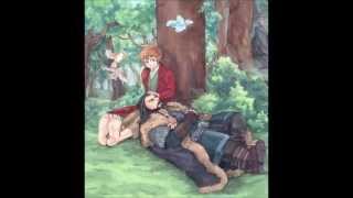 The Hobbit Bagginshield  Fanart MV [upl. by Burck296]