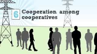 Cooperative Management  Part 11 [upl. by Hannibal]