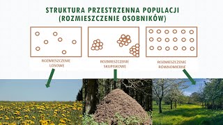 Cechy populacji biologia szkoła podstawowa [upl. by Ecnarolf939]