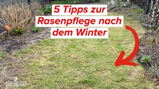 5 Tipps für die Rasenpflege nach dem Winter Das solltest du unbedingt beachten [upl. by Einaffyt138]