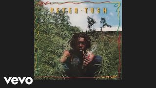 Peter Tosh  Legalize It Audio [upl. by Nwadahs]