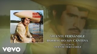 Vicente Fernández  Borracho Sin Cantina Cover Audio [upl. by Iveel96]