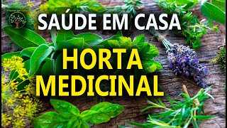 Plantas Medicinais para Plantar em Casa Saúde e Alegria com Sandra Regina [upl. by Farwell]