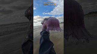 Rescue Mission Saved rare venomous Blue Jellyfish 🥺 [upl. by Eldnar75]